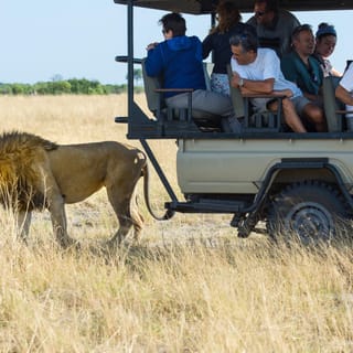 Maun: Private Guided Day Safari in Moremi Game Reserve