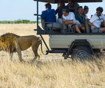 Maun: Safari privado guiado de un día en la Reserva de Caza de Moremi