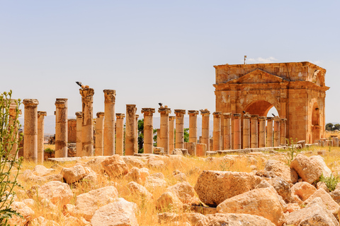 Ab Amman: Private Besichtigungstour von Amman und JerashPrivate Tour mit Mittagessen