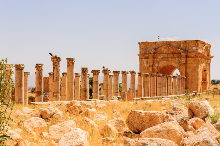 From Amman: Private Amman and Jerash Sightseeing Tour Private Tour with Lunch