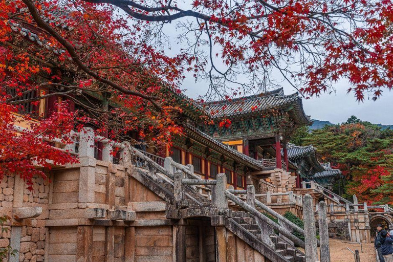 From Seoul: 6-Day South Korea Highlights Tour with Hotels