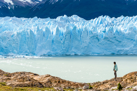 El Calafate: glaciar Perito Moreno y crucero opcionalTour del glaciar Perito Moreno y safari en barco