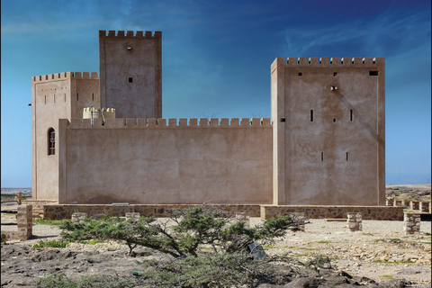 Salalah: Dhofar-tour van een hele dag met lunchRondleiding in het Engels of Arabisch