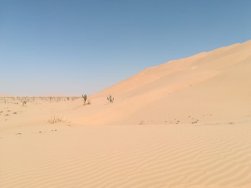 Sunset Desert Empty Quarter Desert - Full Day With Lunch | GetYourGuide