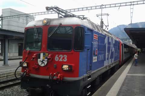 From Basel: Glacier Express Day-trip with Private Guide