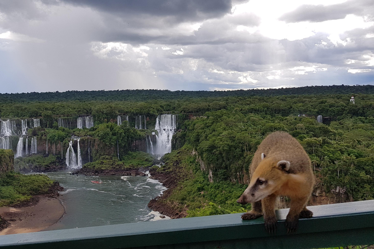 Iguassu Total Experience