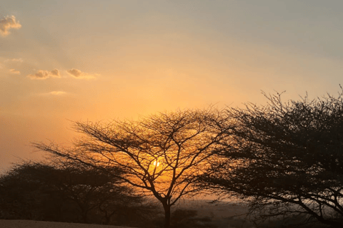 Tour di Jodhpur in cammello con pernottamento nel deserto di Jodhpur