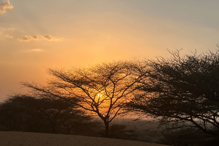 Jodhpur Overnight Camel Tour no deserto de Jodhpur