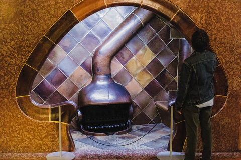 Barcelona: Discover Gaudí, Sagrada Familia, and Park Güell Small Group - Discover Gaudí, Sagrada Familia & Park Güell