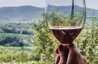 Florenz: Ausflug nach Siena & San Gimignano mit Mittagessen und Wein