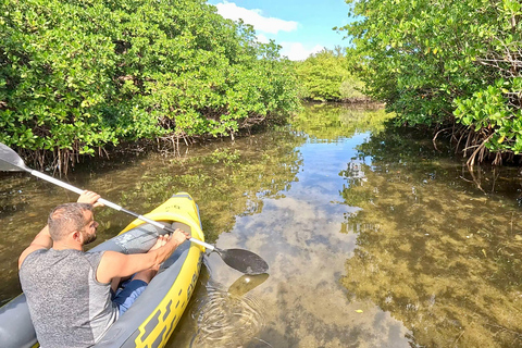 Ft Lauderdale: Combo Deal Snorkel Reefs, Kayak/SUP Mangroves