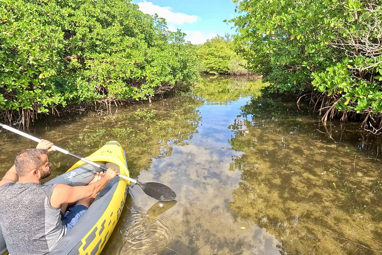 Ft Lauderdale: Combo Deal Snorkel Reefs, Kayak/SUP Mangroves