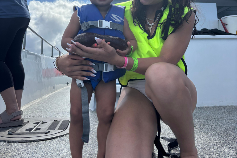 وايكيكي: تجربة الغوص مع السلاحف