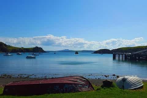 Waiheke Island: Double Headland Guided Coastal Walk