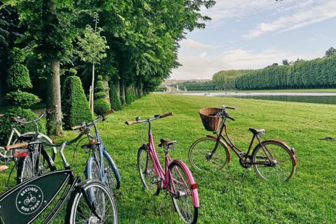 De Paris: Guia e excursão de bicicleta em Versalhes sem filas