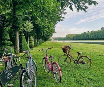 From Paris: Skip-the-Line Palace of Versailles Bike Tour