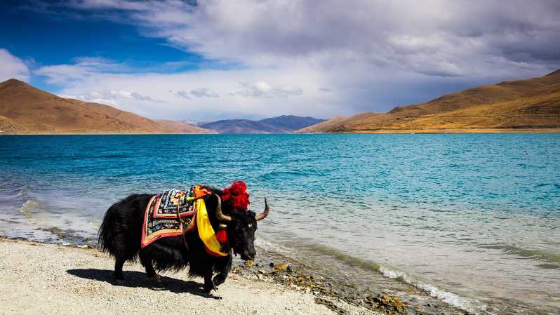 From Kathmandu: Multi-Day Tibet Highlights Trip