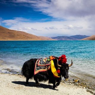 From Kathmandu: Multi-Day Tibet Highlights Trip