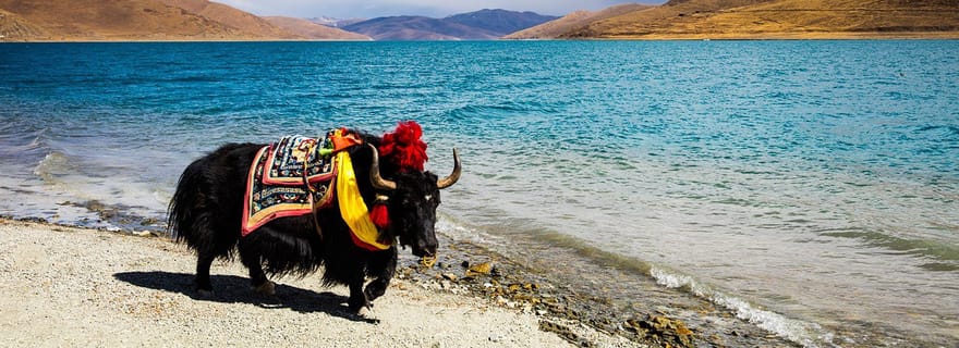 Depuis Katmandou : Excursion multijours au Tibet