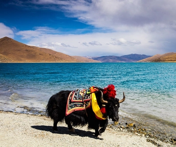 From Kathmandu: Multi-Day Tibet Highlights Trip