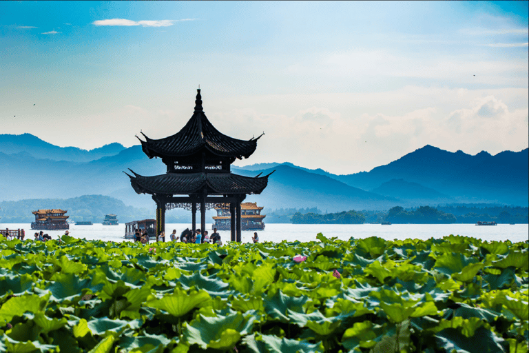 Desde Shanghai: Excursión privada de un día a Hangzhou en tren bala