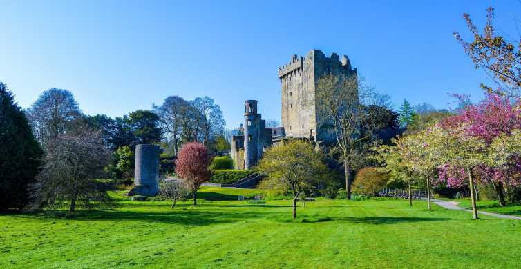 Discover Ireland’s Best: 3-Day Cork, Ring of Kerry, and Cliffs of Moher Tour from Dublin
