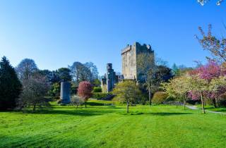5-tägige Tour durch Westirland: Blarney Stone & Cliffs of Moher