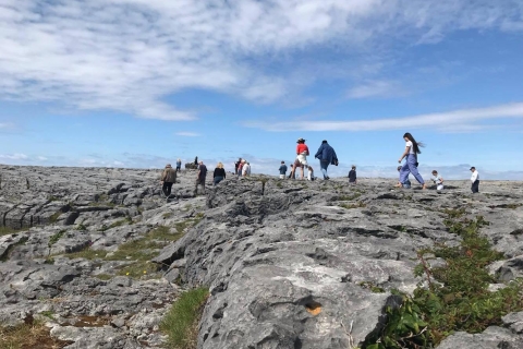 Circuit de 5 jours dans l'ouest de l'Irlande: pierre de Blarney et falaises de MoherTour de l'Atlantique avec hébergement partagé