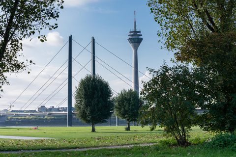 Düsseldorf: ticket para la Torre del RinTicket de entrada febrero - diciembre 2024