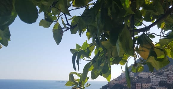 Positano & Amalfiküste Sightseeing Bike Tour