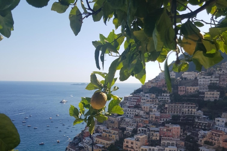 Sorrente: visite guidée à vélo de Positano et de la côte amalfitaineVisite avec ramassage