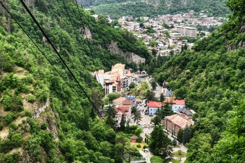 Desde Tbilisi: aspectos más destacados de Georgia en un tour privado de un día