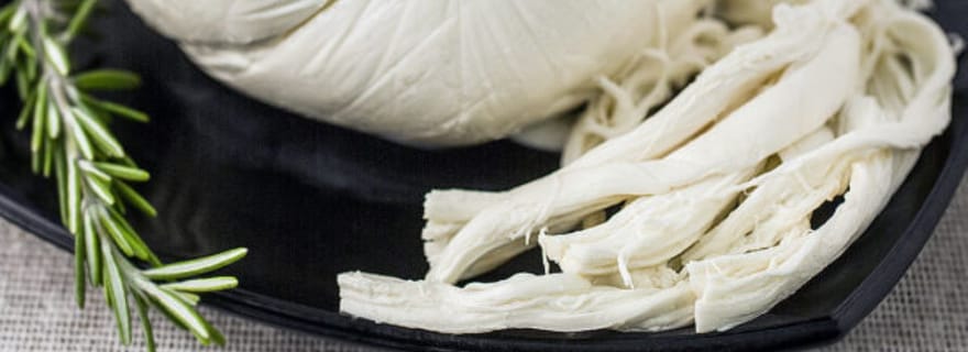 Depuis Oaxaca : San Agustín Etla Quesillo et visite de la fabrication du papier