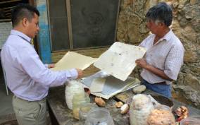 From Oaxaca: San Agustín Etla Quesillo and Papermaking Tour
