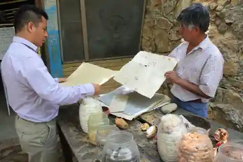 Depuis Oaxaca : San Agustín Etla Quesillo et visite de la fabrication du papier