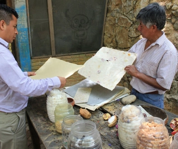 De Oaxaca: Visita a San Agustín Etla Quesillo e ao fabrico de papel