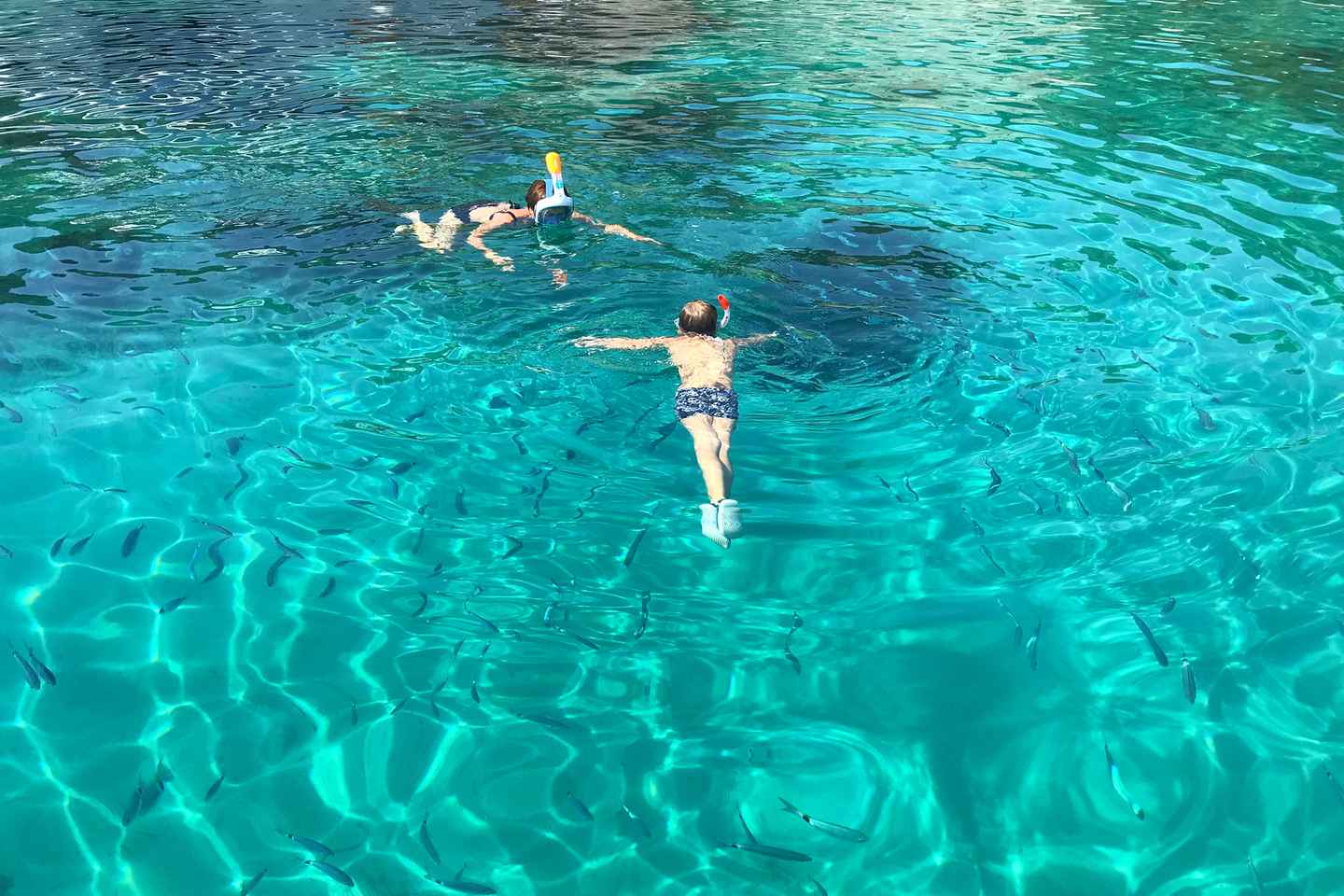 探索三岛:托罗吉尔出发半日快艇游