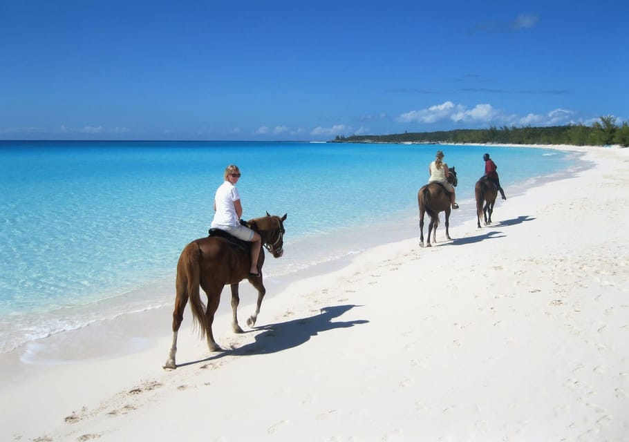 Puerto Plata: Horseback Riding on the Beach | GetYourGuide