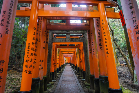 Kioto: tour de senderismo oculto de 3 horas por el santuario Fushimi Inari