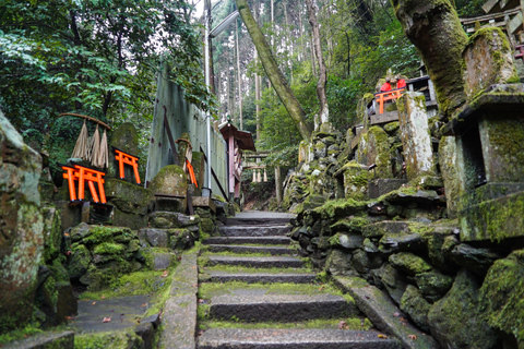 Kyoto: Excursão de caminhada escondida de 3 horas no Santuário Fushimi Inari