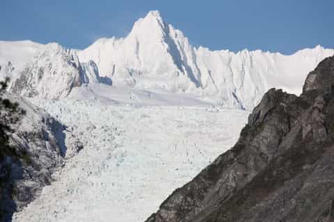 fox glacier half day walking nature tour with local guide