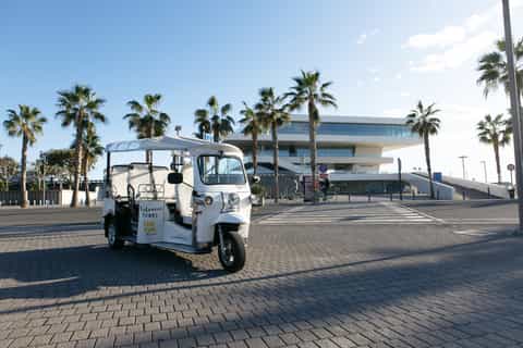 Valencia: Complete Tuk-Tuk Tour Around the City