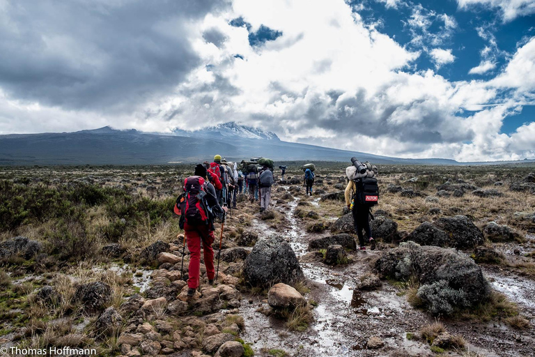 Moshi:Excursión de un día al Monte Kilimanjaro con la excursión a la cabaña de Mandara