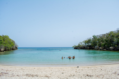 Puerto Plata: Buggy and Zipline Experience