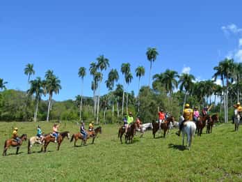 Puerto Plata Combo Experience: Zip-line + Horseback Riding