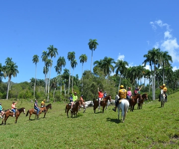 Esperienza combo a Puerto Plata: Zip-line + Equitazione