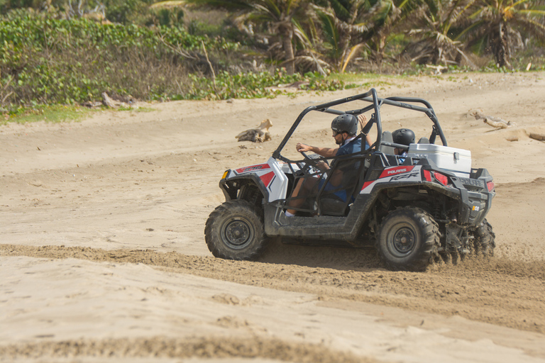 Puerto Plata: Buggy, Zip Line, Watervallen en Lunch Combo