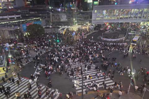 Tokyo Luxury Private City Tour Customizable with Guide
