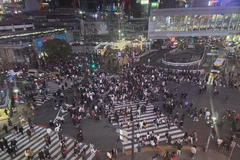 Tokyo Luxury Private City Tour Customizable with Guide