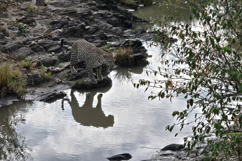 Diani/Mombasa: 2 Days to Tsavo East & Tsavo West with meals